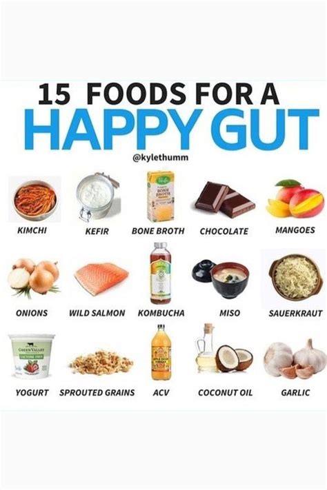 15 Gut Healthy Foods For Healthy Digestive System Healthy Gut Recipes