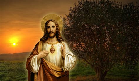 Jesus Christ Wallpapers 64 Images