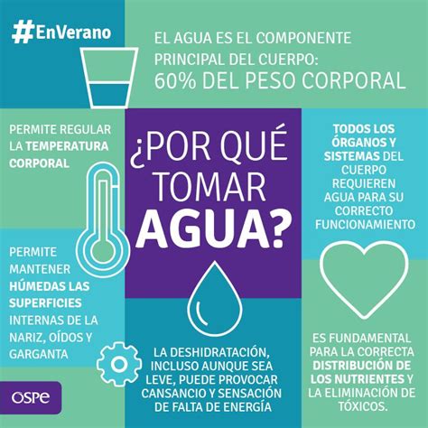 La Importancia De Tomar Agua Beneficios De Tomar Agua Nutricion Y