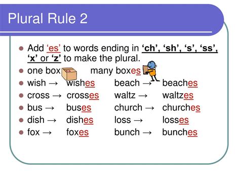 Singular Plural Nouns Rules