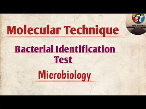 Molecular Technique Ll Bacterial Identification Test Ll Microbiology