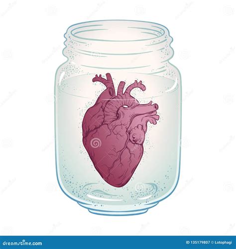 Human Heart In Glass Jar Isolated Sticker Print Or Blackwork Tattoo