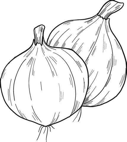 Coloring Pages Free Printable Onion