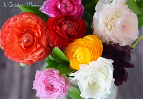 A wonderful alternative to fresh flowers for everlasting enjoyment. TheBouqs.com - Beautiful, Fresh Flowers at Your Door - The ...