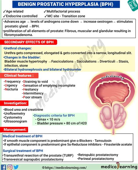 Benign Prostatic Hyperplasia BPH MedicoLearning