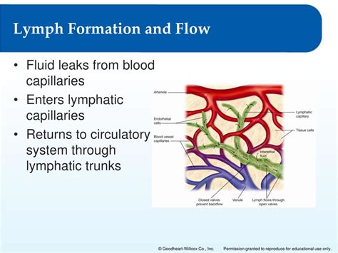 Ppt Ebola Clip Powerpoint Presentation Free Download Id1899385