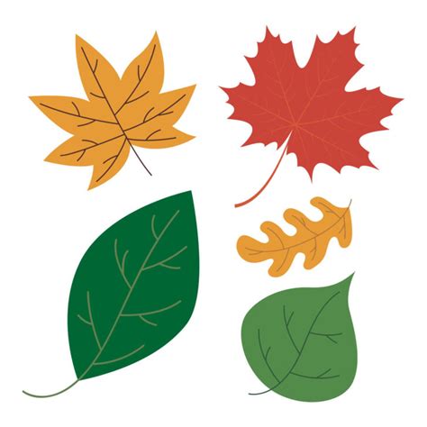 Colored Leaf Templates