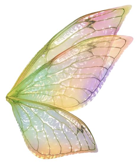 Fairy Wings Download Png Image