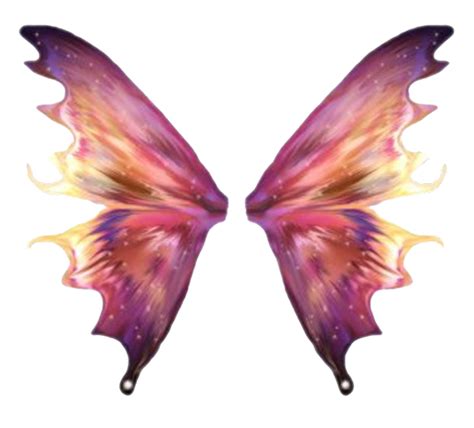 Fairy Wings Png Free Download