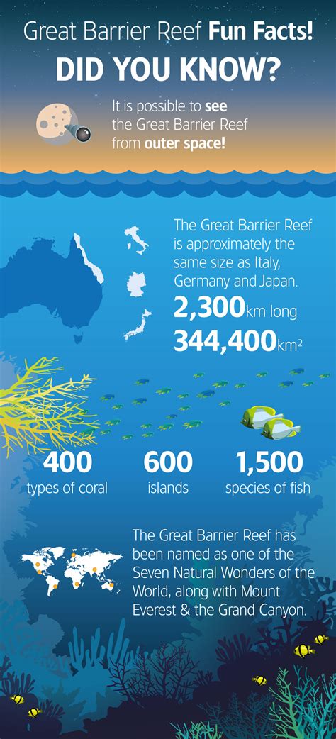 The great barrier reef lies in tropical waters where temperatures are warm enough to offer enjoyable swimming and diving year round—though averages can vary 10°f (5.5°c) from winter to summer. Great Barrier Reef - FUN FACTS - Mantra