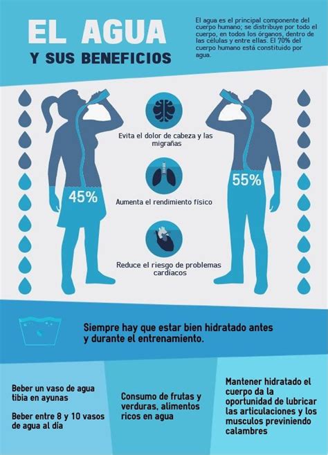 El Agua Y Sus Beneficios En 2023 Beneficios De Tomar Agua Beneficios