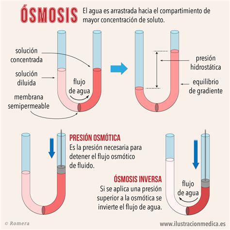 Infografías Variadas Behance