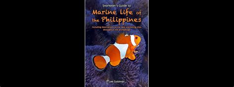 Snorkelers Guide To Marine Life Of The Philippines