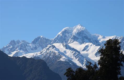 Mount Tasman Seen From Lake Matheson New Zealand Stock Image Image