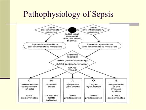 Sepsis Pathophysiology Diagram