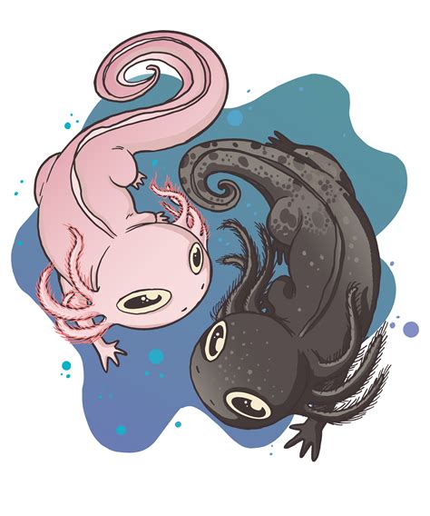 Axolotl Art Cute Axolotl T Shirt Axolotl Aesthetic Axolotl Design