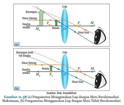 Alat Optik Pengertian Macam Macam Fungsi Contoh