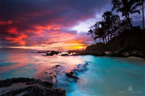 Download Beach Nature Cloud Palm Tree Tropics Tropical Ocean Sky Sunset