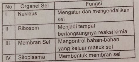 Pasangan Antara Organel Sel Beserta Fungsinya Yang