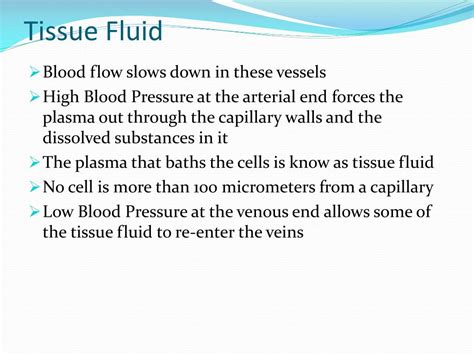 Ppt Structure Of Blood Vessels Powerpoint Presentation Free Download