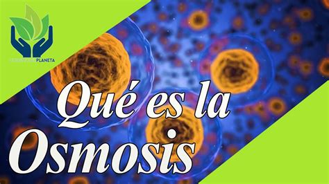 Osmosis Bien Explicada Y Con Ejemplos Youtube