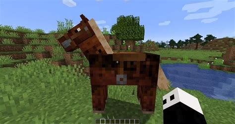 How To Put A Saddle On A Horse In Minecraft 4 Easy Steps