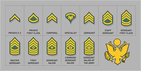 United States Army Enlisted Rank Insignia Of World War Ii 56 Off