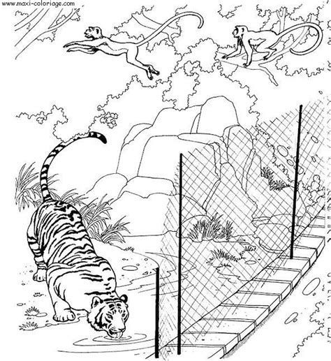 Coloriage Zoo