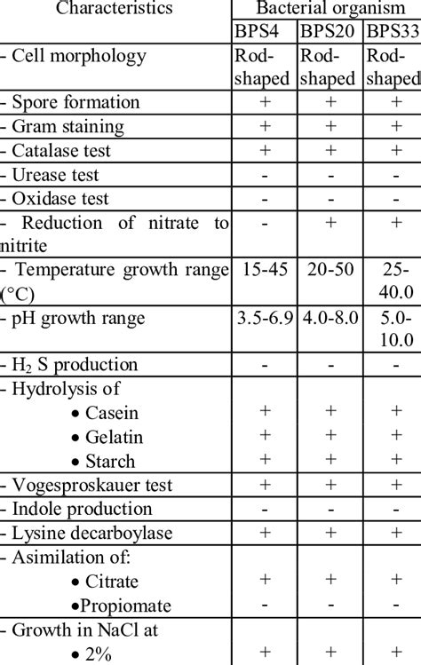 Tests To Identify Bacteria Pictures The Best Porn Website