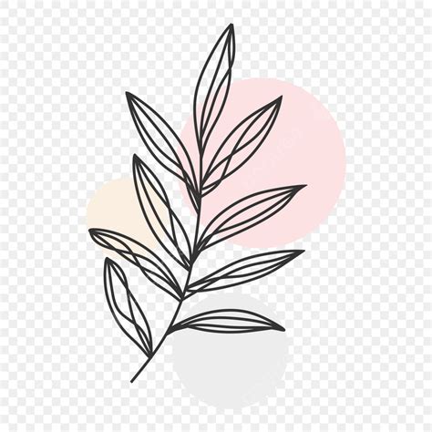 Hand Drawn Plant Vector Design Images Hand Drawn Minimalist Plant