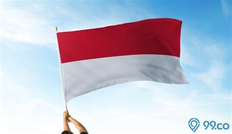 Terlihat Sama Apa Perbedaan Bendera Indonesia Dan Monaco