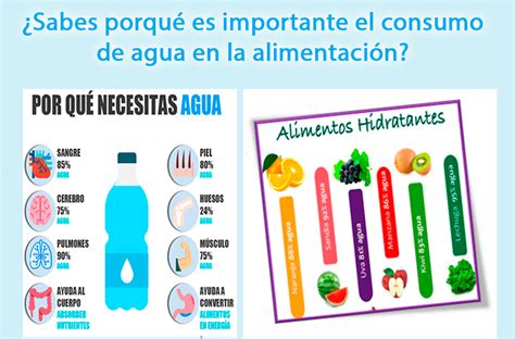 La Importancia Del Agua En La AlimentaciÓn Centro De Atención