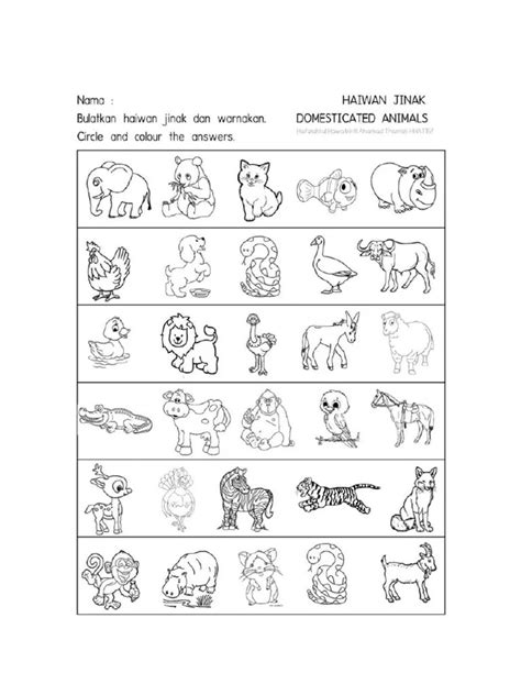 Lembaran Kerja Haiwan Liar Prasekolah Cartoon Animal Characters Large