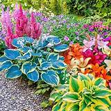 Plant perennials for part shade in a garden with a mix of sunlight. Landscaping Solutions for Shady Areas | Partial shade ...