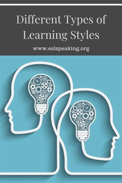 What Are The 4 Different Types Of Learning Styles For Language