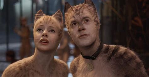 Welcome to the cats musical wiki cats tells the story of a tribe of domestic cats on the night of the jellicle ball. Cats movie drops a new trailer, and it's just as weird and ...