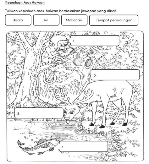 Sains Aktiviti Lembaran Kerja Haiwan Di Air Lembaran Kerja Haiwan Di