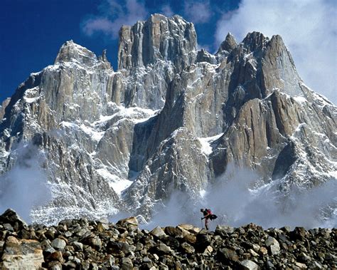 Active Remedy Mountain Ecosystems Impact The World