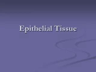 PPT Tissues Introduction Epithelial Tissue Classification Glands