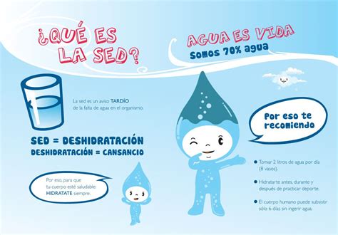 La Importancia Del Agua En La Salud Importancia Del Agua Infografias