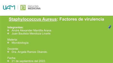 Factores De Virulencia Staphylococcus Aureus JUAN BAUTISTA MENDOZA