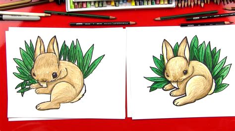 How To Draw A Realistic Bunny Art For Kids Hub