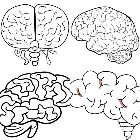 20 Easy Brain Drawing Ideas How To Draw A Brain Blitsy