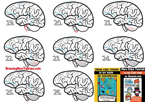 How To Draw A Human Brain Easy Steps Drawing Lesson For Beginners