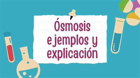 Ósmosis Ejemplos Y Explicación Rd