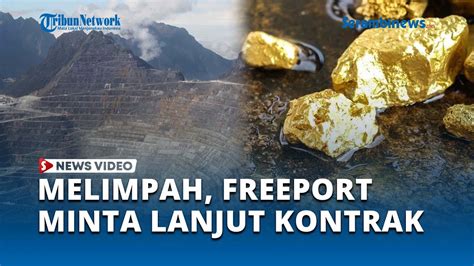 Hasil Tambang Di Papua Masih Melimpah PT Freeport Ajukan Perpanjangan