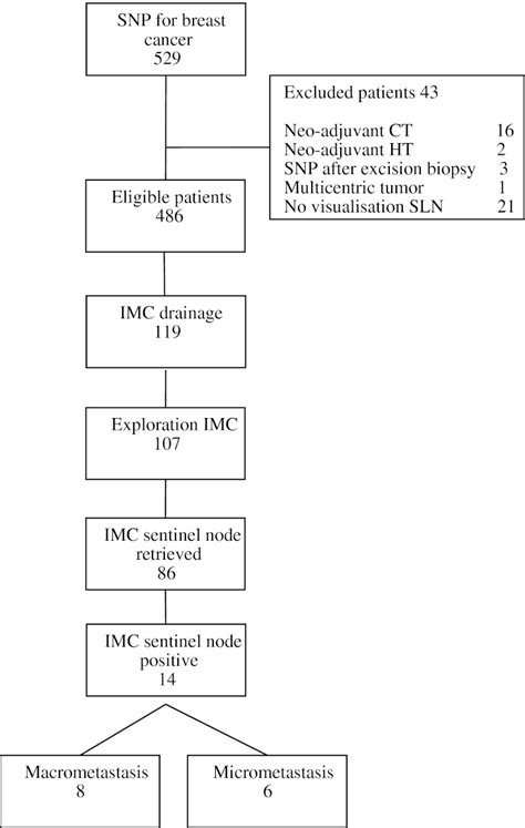 Flowchart Sentinel Lymph Node Procedures Snp Sentinel Lymph Node