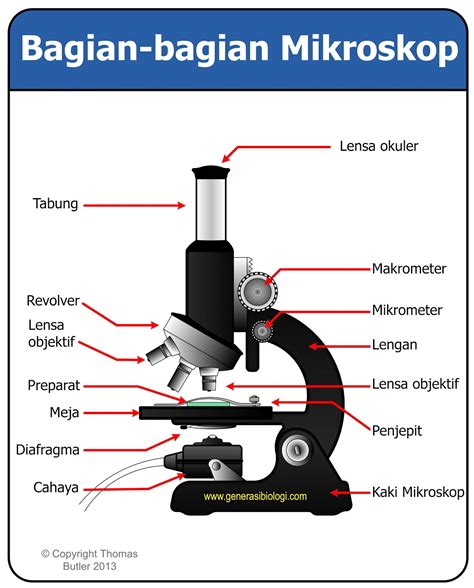 Macam Macam Mikroskop Dan Fungsinya Materi Lengkap Generasi Biologi