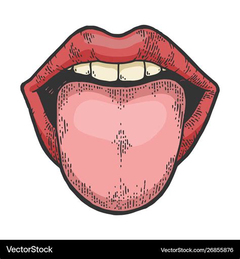 Tongue Showing From Mouth Color Sketch Engraving Vector Image