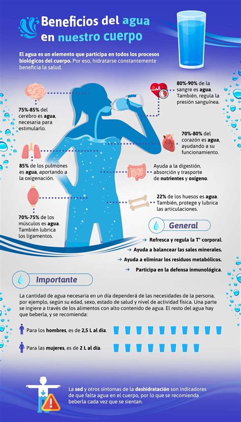 Beneficios Del Agua En Nuestro Cuerpo Bienestar Saval